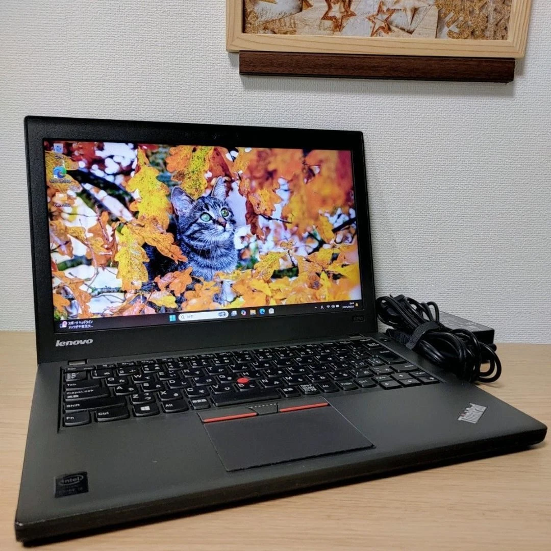 Lenovo ThinkPad X250 PC Laptops & Netbooks for Sale | Shop New