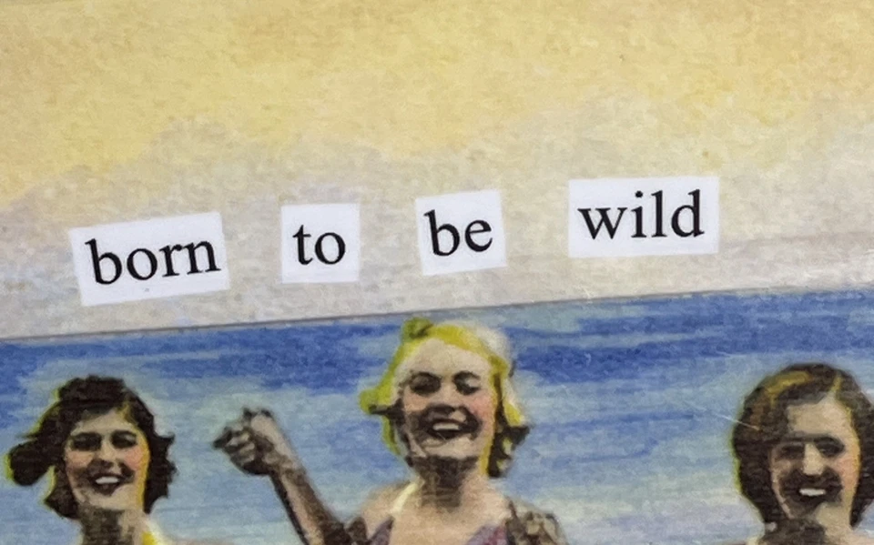 Anne Taintor Melamine Hostess Serving Tray “Born To Be Wild” Girlfriends - Image 3 of 4