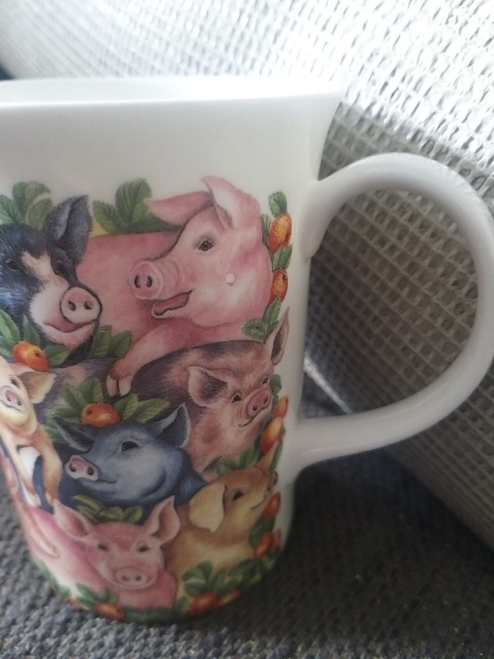 🐞Queen’s Farmyard Pigs & Apples Fine Bone China Mug 🐞 eBay