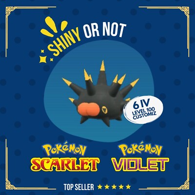 Pincurchin Shiny or Non   6 IV Competitive Customizable Pokémon Scarlet Violet
