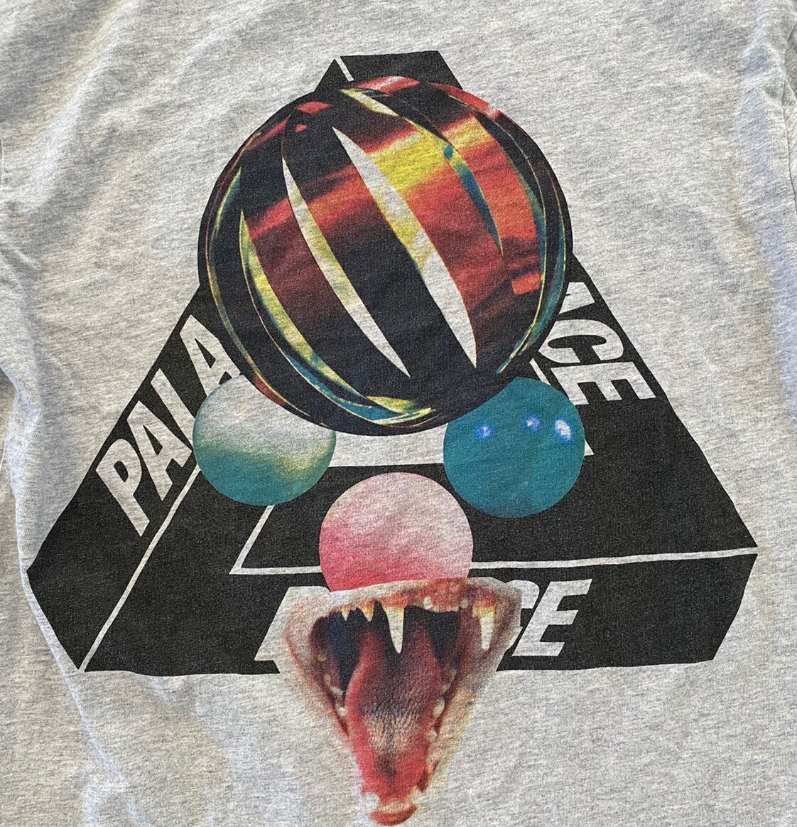 Palace Skateboards Long Sleeve Gray Rare Sans Ferg Snake T