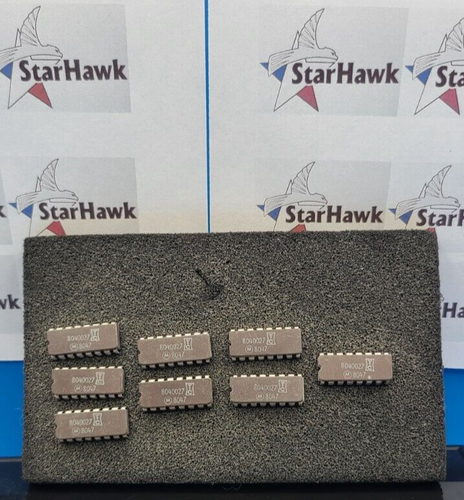 Tandy Motorola 8040027 8 pz set chip di memoria - Foto 1 di 2