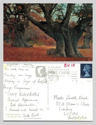 Alte Postkarte - Burnham Buchen Wald Herbst Bäume J. Lachs VERSCHICKT