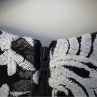 Bild 9 von 12