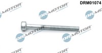 Dr. Motor Automobil DRM01074 Schraube, EinspritzdüSenhalter FüR Jeep