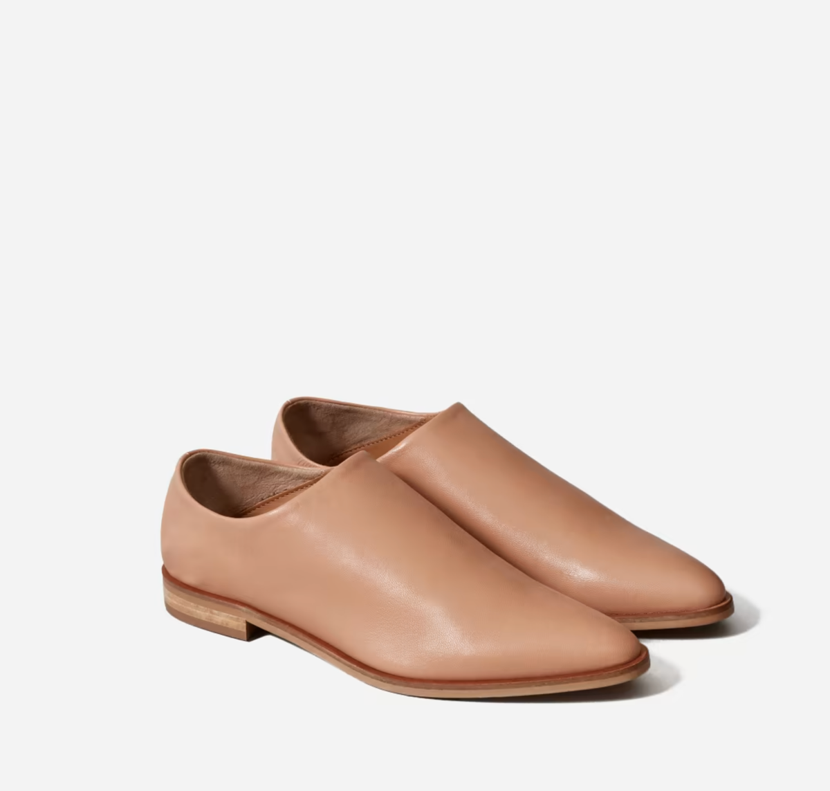 Pointed Toe Everlane Mules Everlane Modern Babo Blush Everlane