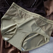 5-Pack Women  s Sheer Satin Panties - Seamless Silky Briefs