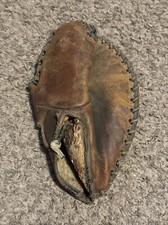 "RUDY YORK" Baseball Glove