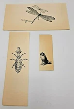 Lot of Art Print Cuts -  Animals - Dog and Insects