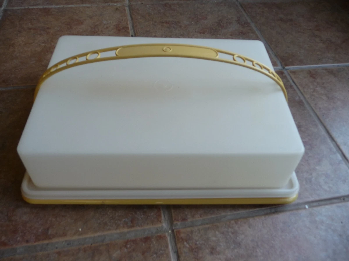 Details 148+ rectangular cake carrier best in.eteachers