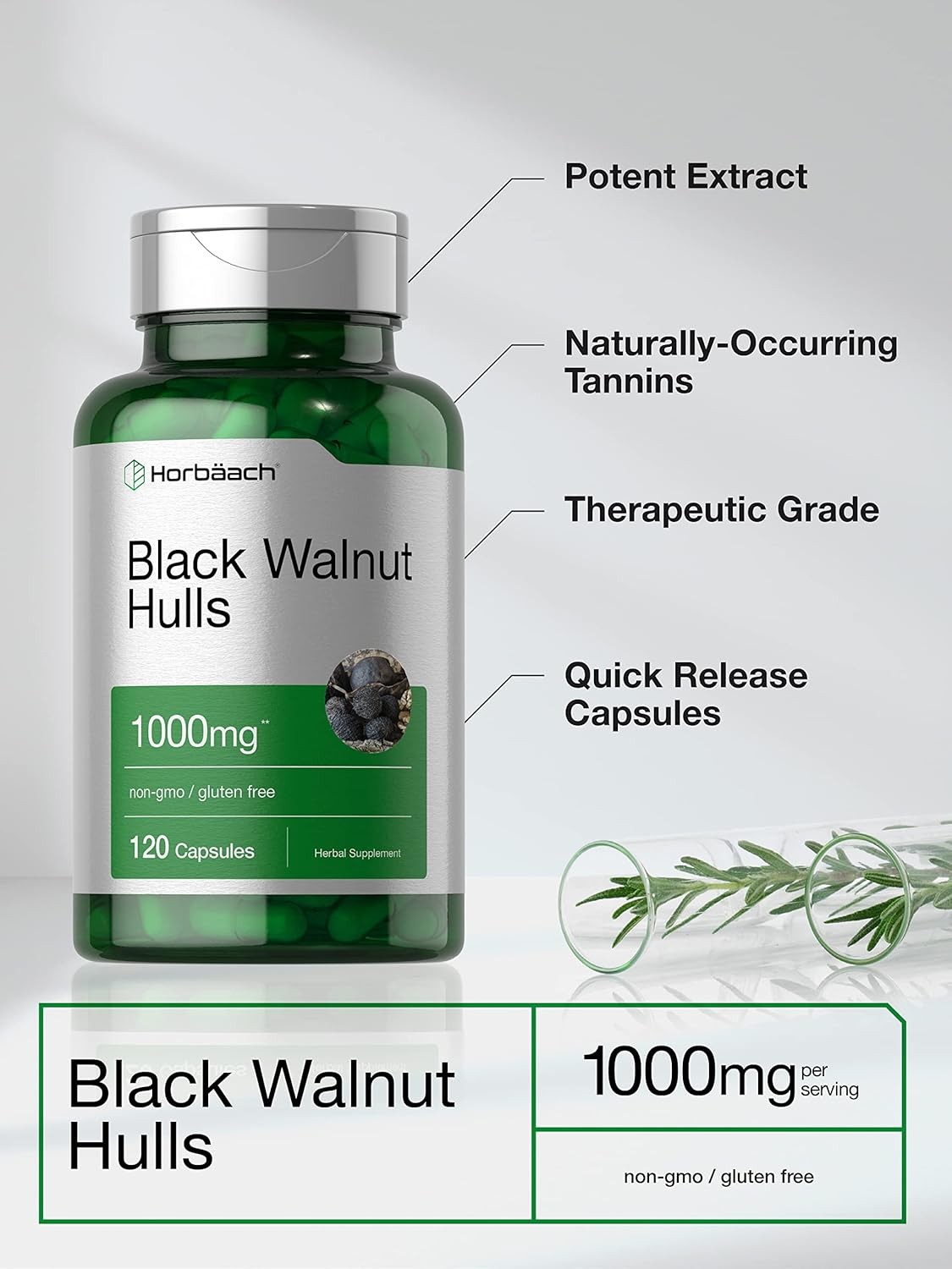 Black Walnut Hulls Capsules 1000Mg | 120 Count | Herbal Supplement | Non-GMO