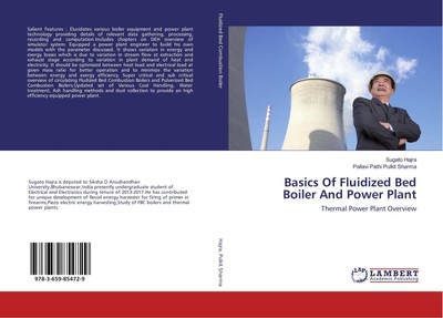 Basics Of Fluidized Bed Boiler And Power Plant Sugato Hajra