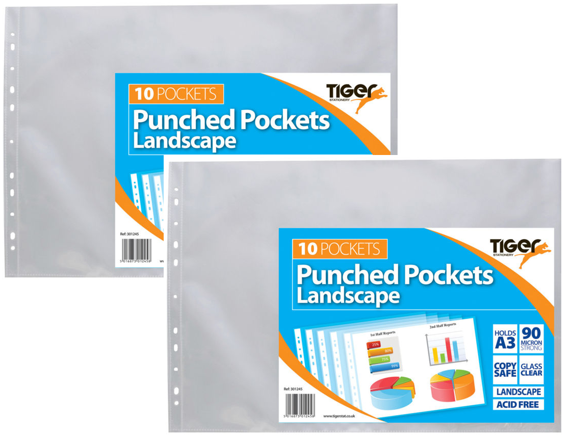 20 Forte A3 Paesaggio Punzonato Poly Tasca Trasparente Portafogli Portfolio