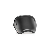 Puig Frontverkleidung Indian FTR1200 19-25 Carbon Look