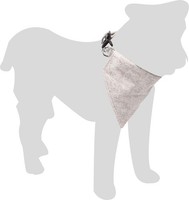 Hundehalsband Grau XS Mit Bandana Von Flamingo Nelson, HaustierzubehöR