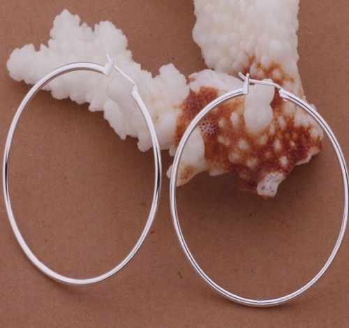 Stylish Large Round Sterling Silver Hoop Drop Dangle Earrings for Women-image