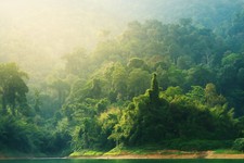 Landscape nature trees forest mist water jungle Custom Gaming Mat Desk