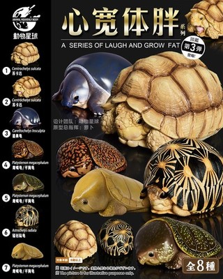 Animal Heavenly Body Turtle Series 3 AHB Mini Resin Reptile Figurine Collectible