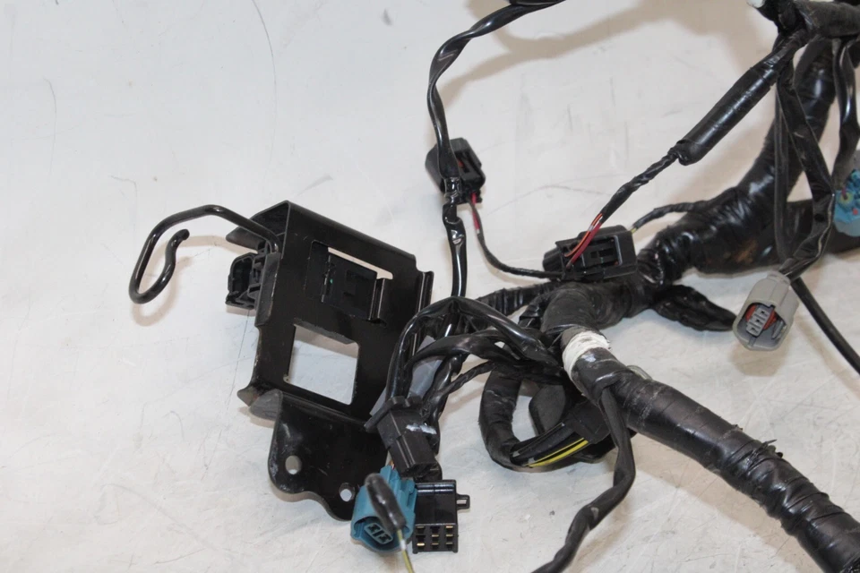 Kawasaki Ninja 300 2015 fabricante de equipos originales arnés de cableado motor telar de cable Foto 2 de 4