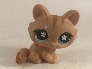 lps flower cat