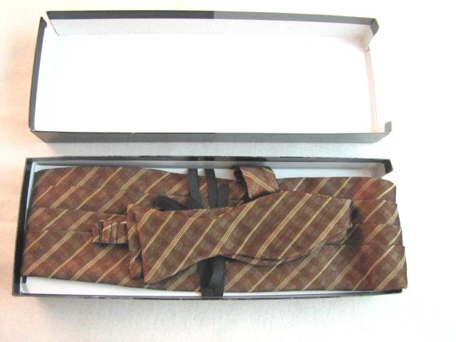 Robert Talbott Protocolo Ajustable Dorado Marrón Faja y Pajarita Conjunto Caja NUEVO Foto 3 de 4