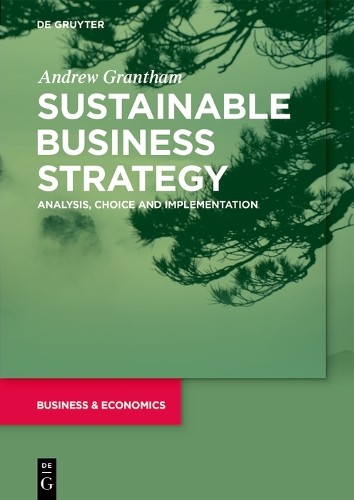 Sustainable Business Strategy: Analysis, Choice and Implementation - Image 2