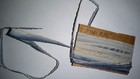 Narrow Blue Ombre Ruffle Edged Ribbon  circa 1920 New Old Stock  #1984 — photo 1