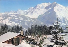 74 BETTEX PANORAMA SUR LE MASSIF DU MONT BLANC ET LES AIGUILLES DE CHA