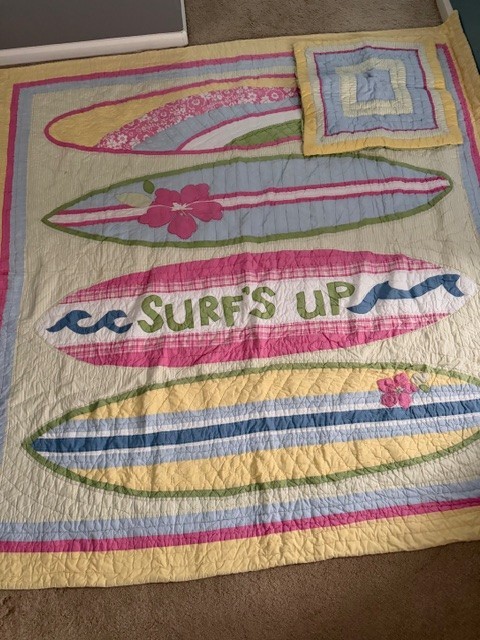 Pottery Barn Kids Pink Malibu Surfs Up Euro Sham and Quilt Full/Queen