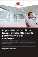 Application Du Droit Du Travail Et Son Effet Sur La Performance Des EmployéS