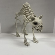 12 In Skeleton Snarling Arched Back Cat Plastic Halloween decoration