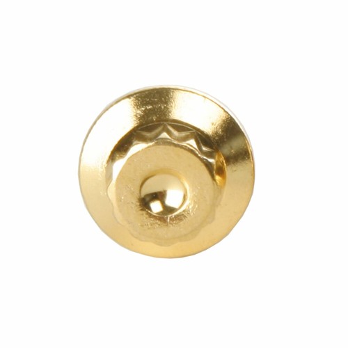 30 bulloni cerchio diviso M7x16 acciaio inox goldlook per BBS Rial Schmidt O.Z. Dyn - Foto 2 di 5