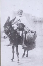 A Loaded Donkey in Tunisia, North Africa, Magic Lantern Glass Slide