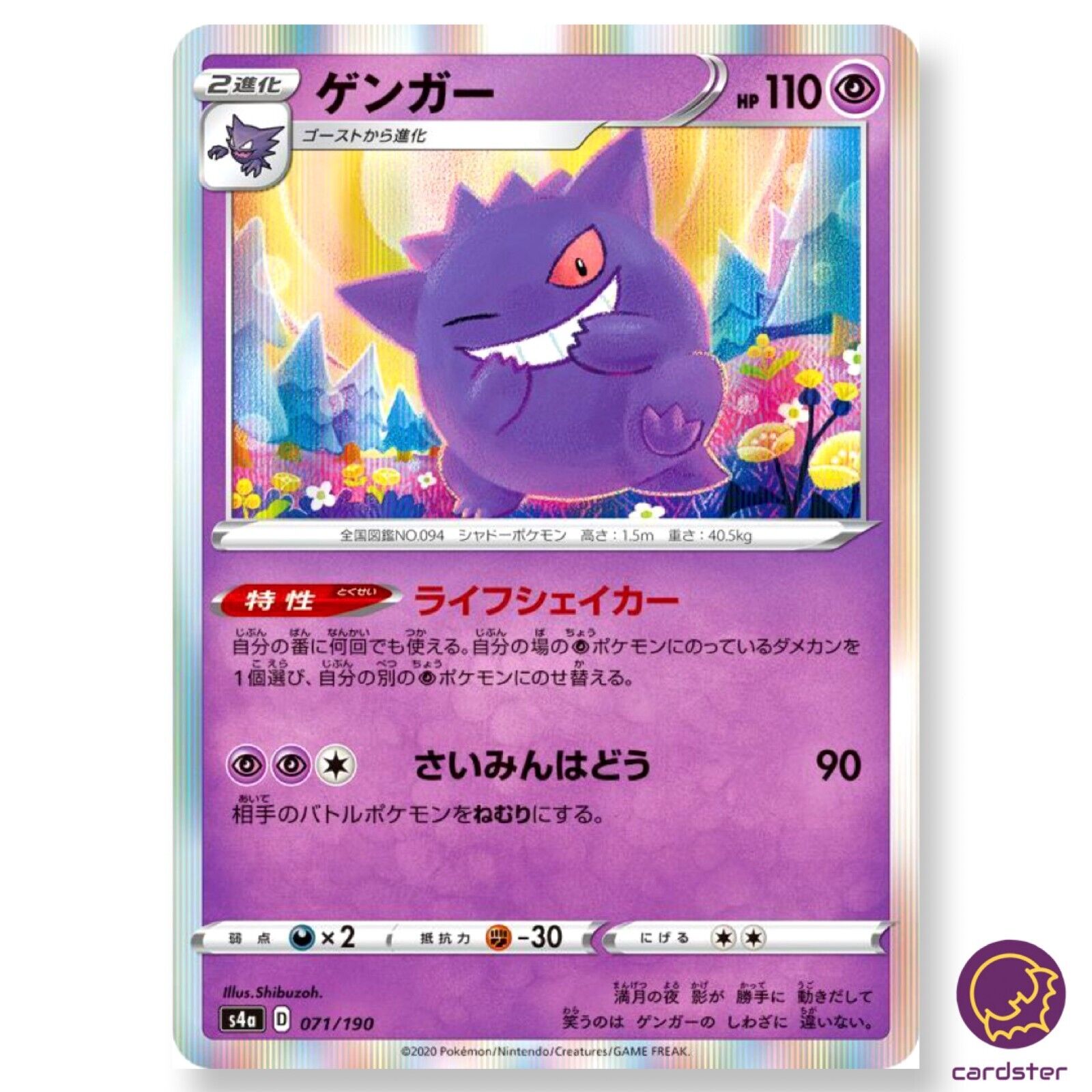 0049 XY - XY Shiny Gengar (US JP) (ENG) (M) - English - Project