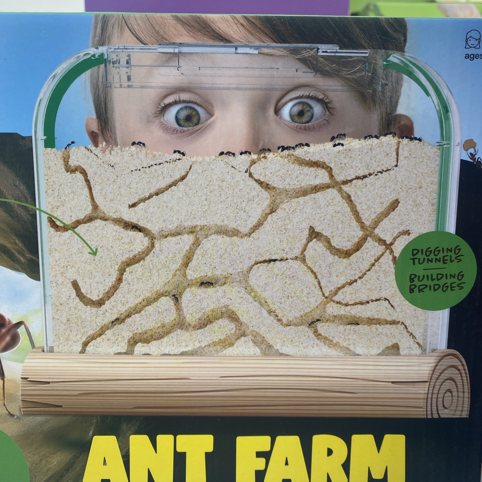 Ant Farm Kit Only No Live Ants - Ants Farms Colony - Sand Habitat Kits ...