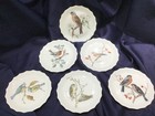6 LIMOGES LES OISEAUX appetizer canapé PLATES beautiful BIRDS vintage! AA — photo 1