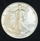 1988 American Silver Eagle 1 Oz .999 Fine Coin, No Reserve #830