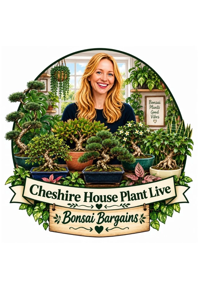 💚✳️ Bonsai Bonanza 💚✳️ ⚡FLASH DEALS ⚡AND Auctions ! 💰