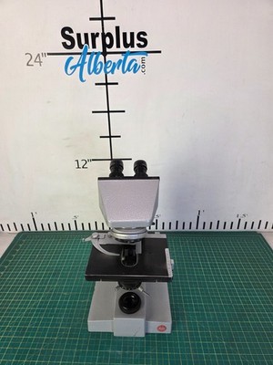 Leitz SM-Lux Microscope With Eyepieces
