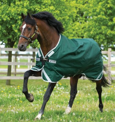 Horseware Rambo Original lite mit Beinausschnitt green- silver Regendecke