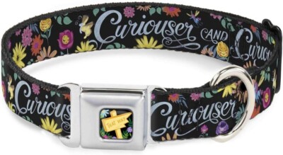Buckle-Down Dog Collar Curiouser Flowers of Wonderland Collage Size M 11''-17''