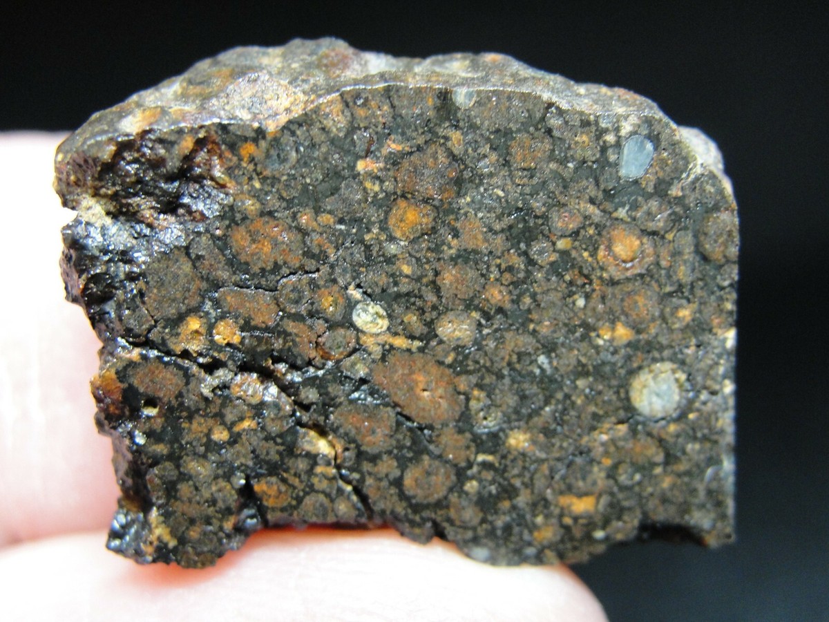 NWA 8289 Carbonaceous CV3 Chondrite Meteorite - G474-0006