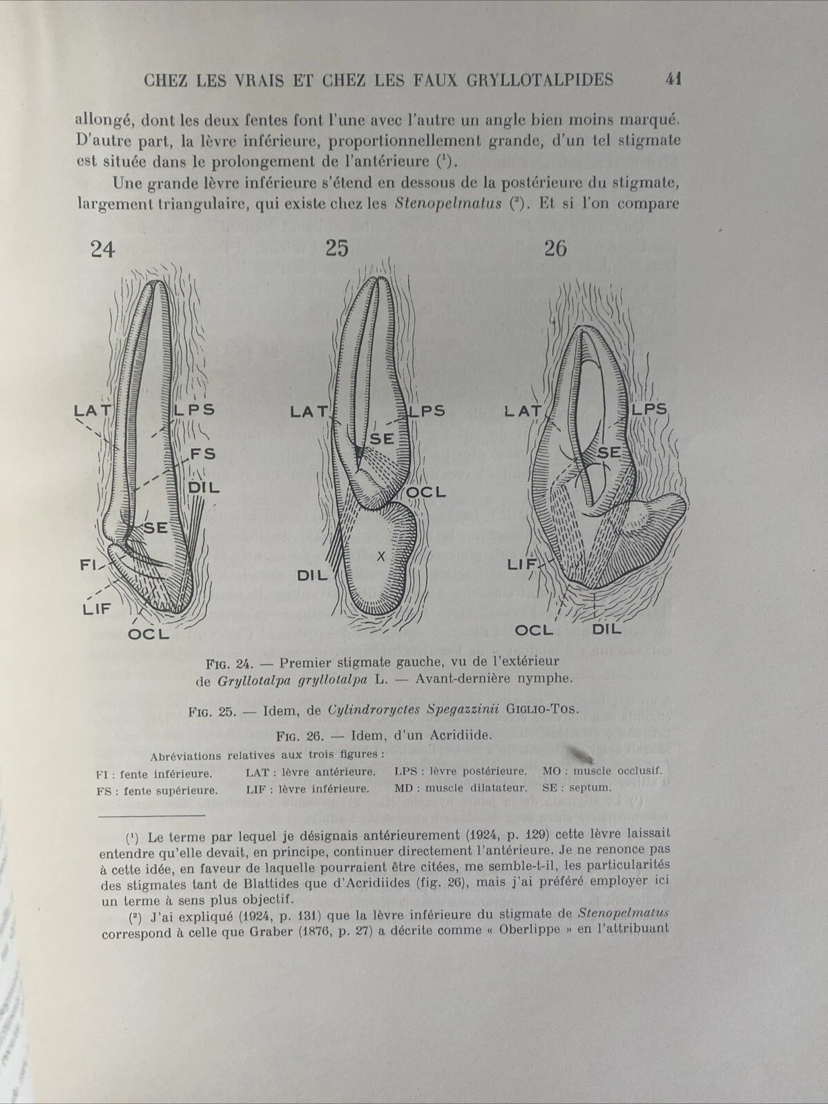 Photo 2/4