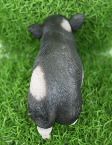PIG STANDING MINI FARM ANIMAL GARDEN STATUE ORNAMENT FIGURINE BLACK AND WHITE - Bild 7 von 8