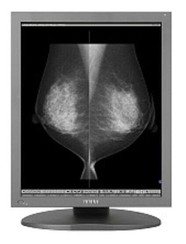grayscale lcd module brands