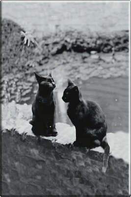 Compact Mirror - Frances Benjamin Johnston's Herman And Vermin - 2'' x 3'' - #7727