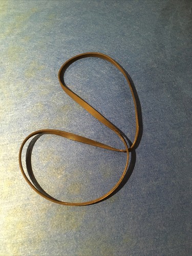 Zanussi ZWF1621W Waschmaschinenteil - Antriebsriemen 124021111 / 1200 J