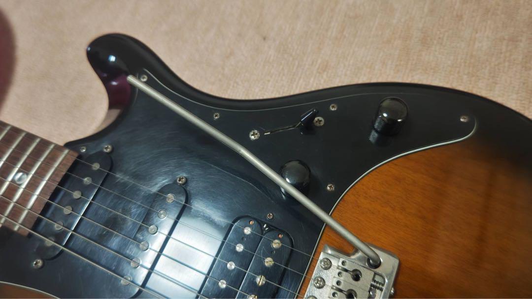 Paul Reed Smith(PRS) SE EG Sunburst #PA0039 | eBay