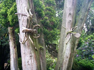 Photo 12x8 Rydal Hall & Gardens [10] Sculptures in the gardens. c2019