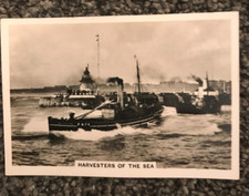 Tobacco Card, Senior Service, COASTWISE, 1939, Harvesters of the Sea, #45